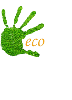 Curatatorie Covoare Eco